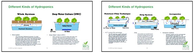 hydroponics1