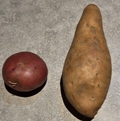 potato adn sweet potato