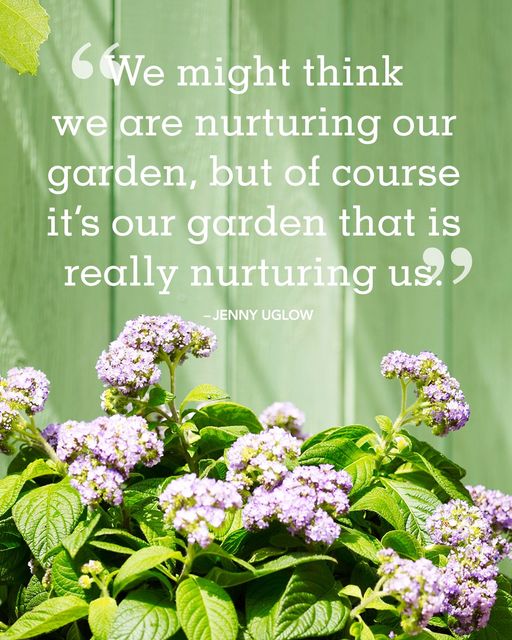 nuturing garden